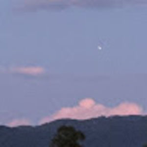 Meet your Posher, Bella